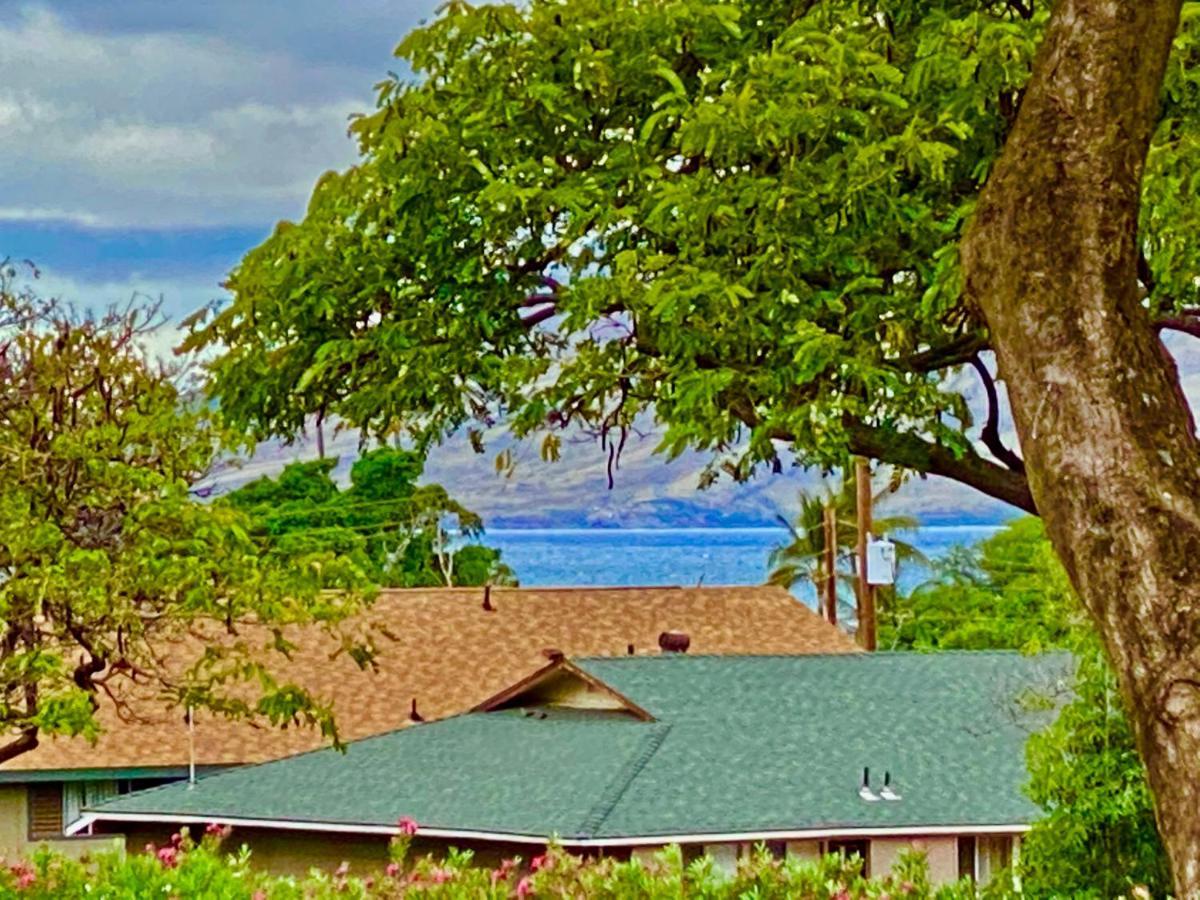 Maui-Licious By The Beach Kihei Exterior photo